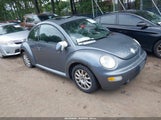 Volkswagen New Beetle Coupe Gls 3VWCK31C35M408754 снимка