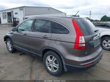 Honda Cr-V Ex-L 5J6RE4H78AL056974 photo