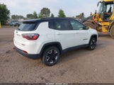 Jeep Compass Trailhawk 4X4 3C4NJDDB8JT234574 снимка