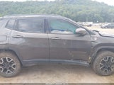 Jeep Compass Trailhawk 4X4 3C4NJDDB4KT683056 fotografie