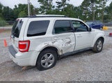 Ford Escape Limited 1FMCU0EG0AKC24202 снимка