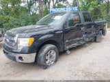 Ford F-150 Xlt 1FTFW1ET9DFD79830 снимка