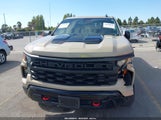 Chevrolet Silverado  4Wd Short Bed Custom Trail Boss 3GCPDCEK7PG170960 fotografie
