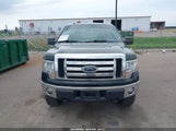 Ford F-150 Fx4/King Ranch/Lariat/Platinum/Xl/Xlt 1FTPW14V89FA39177 снимка