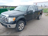 Ford F-150 Fx4/King Ranch/Lariat/Platinum/Xl/Xlt 1FTPW14V89FA39177 fotografie