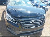 Hyundai Sonata Sport 5NPE34AF2FH032855 снимка