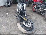 Miniaturka zdjęcia 5