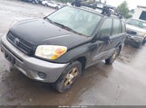 Toyota Rav4 JTEHD20V056046507 снимка