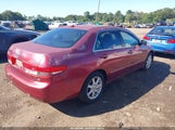 Honda Accord 3.0 Ex 1HGCM66584A015841 photo