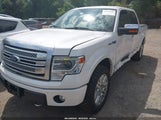 Ford F-150 Platinum 1FTFW1EF7EFC23345 снимка