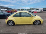 Volkswagen New Beetle 2.5 3VWPW31C17M500924 снимка