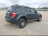 Ford Escape Limited 1FMCU94G69KB71507 снимка