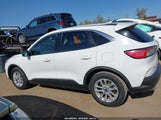 Ford Escape Se 1FMCU0G61NUB60489 снимка