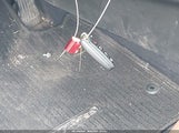 Miniaturka zdjęcia 11