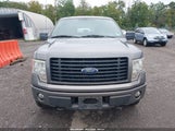 Ford F-150 Stx 1FTFW1EF5EKG02030 снимка