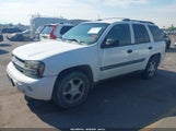Chevrolet Trailblazer Ls 1GNDT13S742108225 снимка