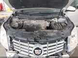 Cadillac Srx Standard 3GYFNAE33GS519223 снимка