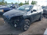Jeep Cherokee Trailhawk 4X4 1C4PJMBB1HW521108 снимка