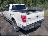 Ford F-150 Fx4/King Ranch/Lariat/Platinum/Xl/Xlt 1FTPW14V19FA24505 fotografie