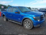 Ford F-150 Fx4 1FTFW1ET3DFD88474 снимка