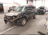 Ford Escape Hybrid 1FMCU49H57KA93285 снимка