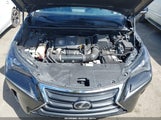 Lexus Nx 300 JTJGARBZ4M2185558 photo