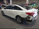 Hyundai Sonata 5NPE24AF5HH439977 снимка