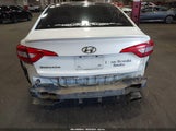 Hyundai Sonata 5NPE24AF5HH439977 снимка
