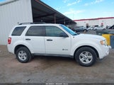 Ford Escape Hybrid 1FMCU5K3XBKB48858 снимка
