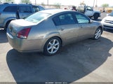 Nissan Maxima 3.5 Se 1N4BA41EX6C811406 снимка