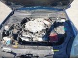 Infiniti G35 JNKCV54E37M900670 снимка