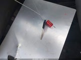 Miniaturka zdjęcia 11