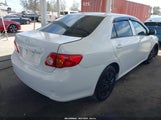 Toyota Corolla Le 1NXBU4EEXAZ314995 fotografie