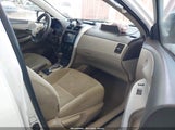 Toyota Corolla Le 1NXBU4EEXAZ314995 fotografie