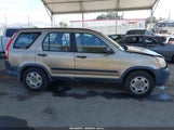 Honda Cr-V Lx JHLRD68525C014375 снимка