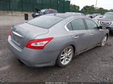 Nissan Maxima 3.5 Sv 1N4AA51E39C807526 снимка