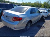 Toyota Corolla Le JTDBU4EE6AJ083101 fotografie