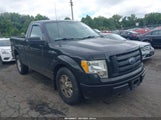 Ford F-150 Stx/Xl/Xlt 1FTMF1EW5AFD21842 fotografie