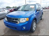 Ford Escape Xlt 1FMCU0D76BKA97524 fotografie