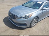 Hyundai Sonata Sport 5NPE34AF9FH093958 photo