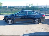 Hyundai Sonata Sport 5NPE34AF4FH032128 снимка