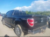 Ford F-150 Xlt 1FTFX1EF1EFA42593 снимка