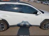 Hyundai Tucson Limited 5NMJE3DE2SH561624 photo