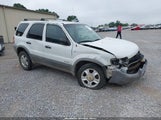 Ford Escape Xlt Choice/Xlt Midnight/Xlt Premium/Xlt Sport 1FMYU04172KA62069 fotografie