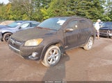 Toyota Rav4 Limited JTMYF4DVXAD025397 снимка