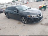 Nissan Maxima 3.5 Platinum/3.5 S/3.5 Sl/3.5 Sr/3.5 Sv 1N4AA6AP4GC446733 снимка
