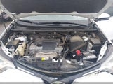 Toyota Rav4 Xle JTMWFREV5HD094706 снимка