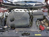 Nissan Maxima 1N4AA6APXGC382245 fotografie