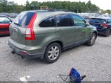 Honda Cr-V Ex-L JHLRE48747C020488 fotografie