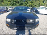 Ford Mustang V6 Deluxe/V6 Premium 1ZVFT80N375337462 photo